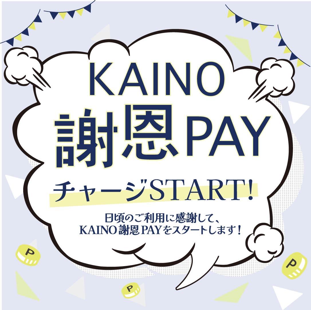 トータルビューティーサロン KAINO-カイノ