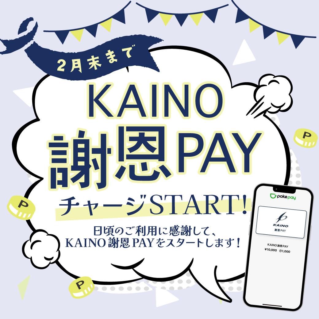 トータルビューティーサロン KAINO-カイノ