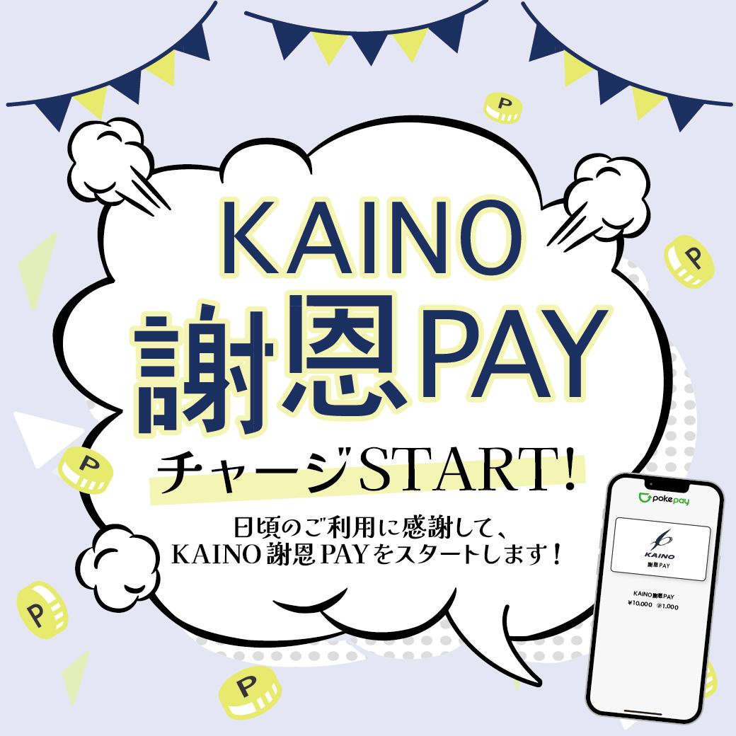 トータルビューティーサロン KAINO-カイノ